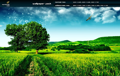 magic tree v2 High Definition wallpaper pack