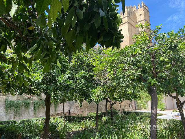 Visitar Córdoba Alcázar Reyes Cristianos