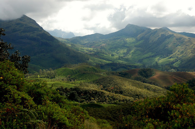 Eravikulam National Park, Kerala