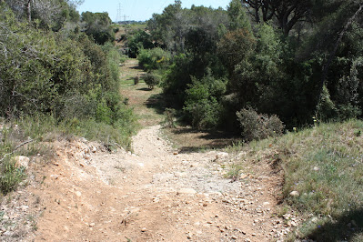 BANYERES DEL PENEDÈS CASTELL DE BANYERES - ERMITA DE LA MARE DE DÉU DELS ARQUETS - LLEGER - ERMITA SANT PONÇ; Camí al Bosc Gran del Papiol