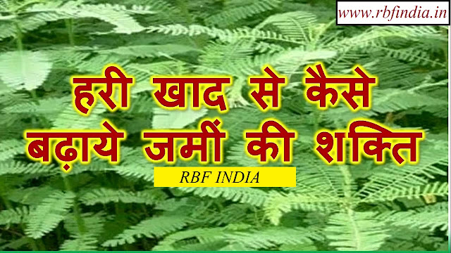 make green fertilizer in hindi  by  rbf india