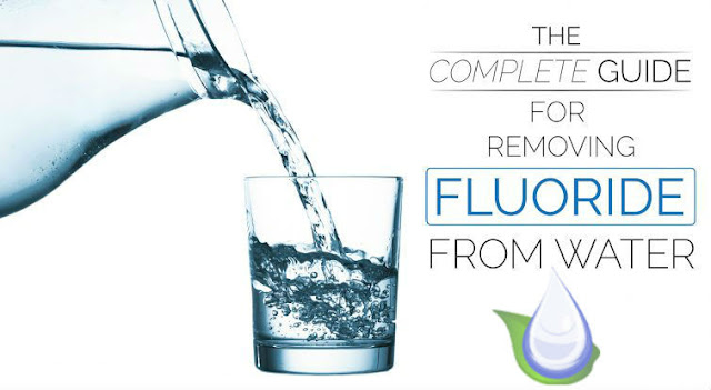Water Filters that Remove Fluoride