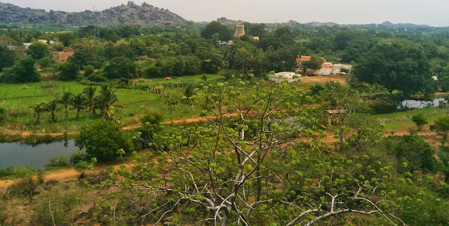 Small town of Papanasam, the Thamarabarani river and the Papanasam Temple