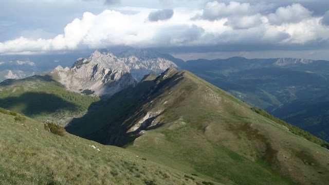 ISPOVIJEST Kako sam shvatio da i nismo toliko primitivni