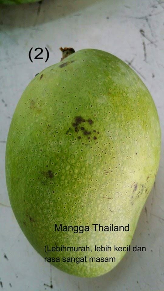 Resepi Kerabu Mangga Muda D'Limau Nipis ~ D' Limau Nipis