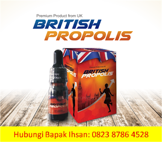 0823-8786-4528-Agen-Propolis-Padang-Agen-Propolis-Sumbar-Agen-Propolis-Sumatera-barat