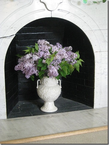 flowers 008