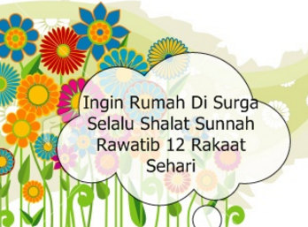 Hikmah Keutamaan Shalat Sunnah Rawatib - Sharing Informasi