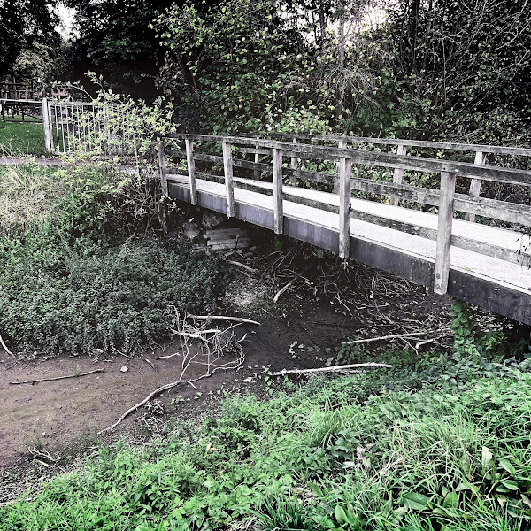 Na flinke regenval nog steeds laag water, Zevenaar