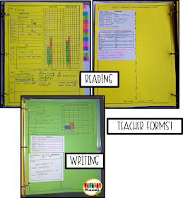 Organizing for reading and writing conferences!