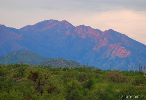 3. Santa rita Mountains-kab