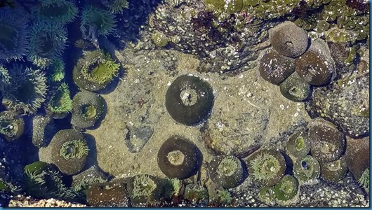 20180901_102542 (Small)