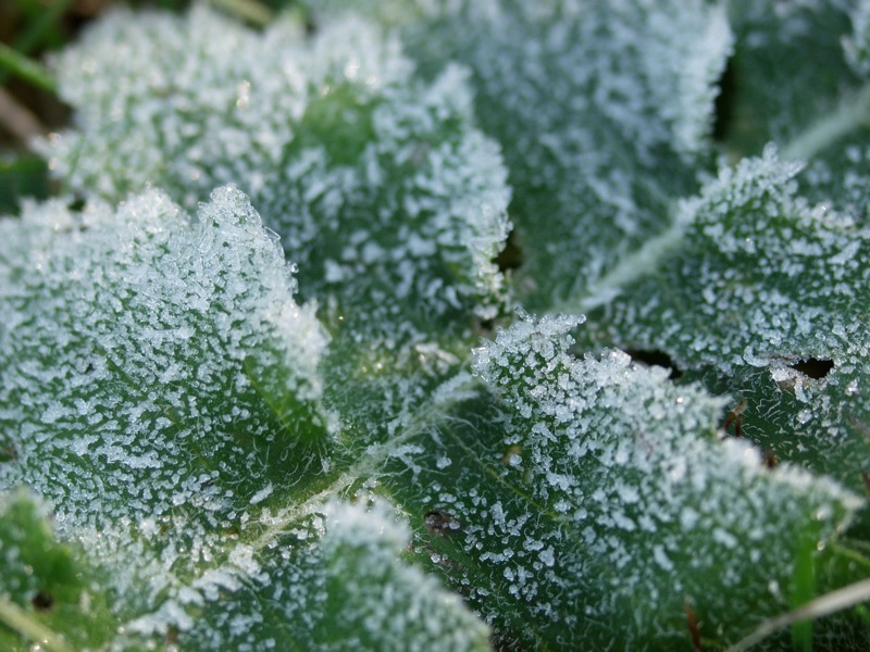 P9284477