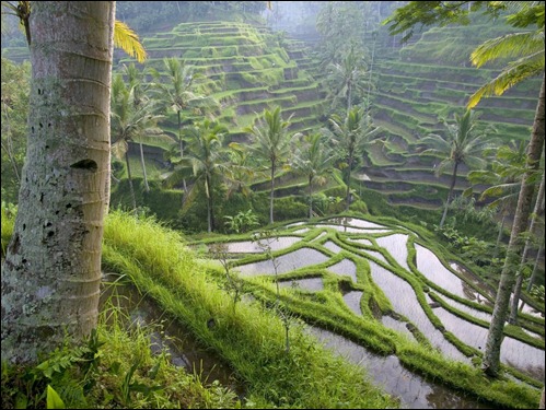 Bali na Indonésia