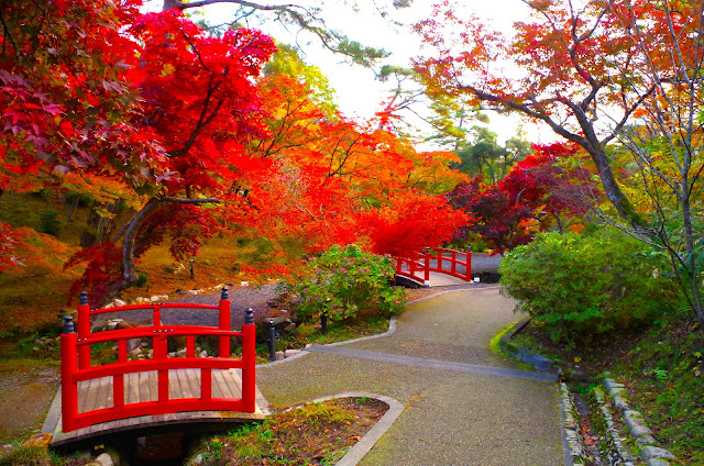 「觀月橋」下的小路。