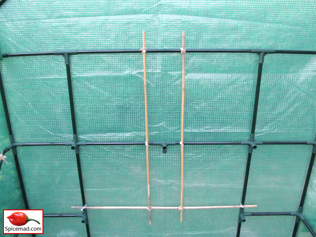 Walk-In Plastic Greenhouse Reinforcements - 10th May 2020