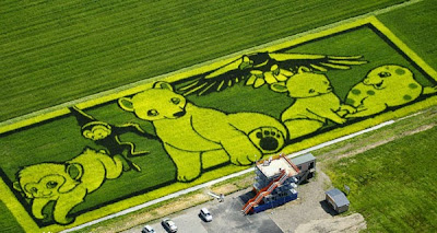 creative ideas, painting in a paddy fields