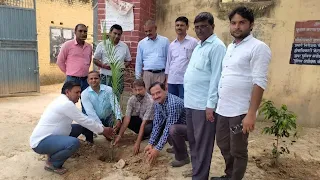 #JaunpurLive : विद्यालय परिसर में किया पौधरोपण