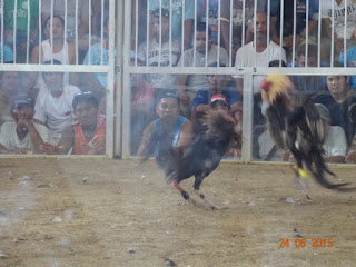 It's more fun in Palompon, Leyte, Philippines