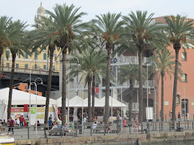 Palme da Dattero a Genova