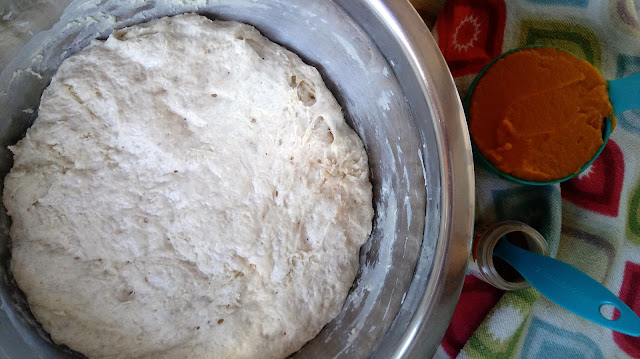 a bowl of sourdough sponge next to a cup of pumpkin puree and a jar of spice