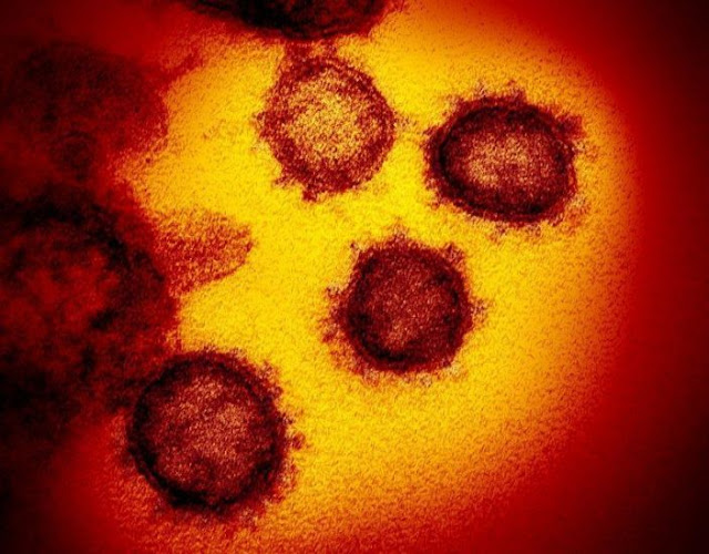 coronavirus is continuing to spread rapidly