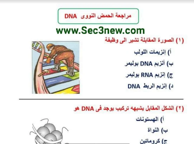 أهم اسئلة الاحياء فى ال Dna  للصف الثالث الثانوى 2021