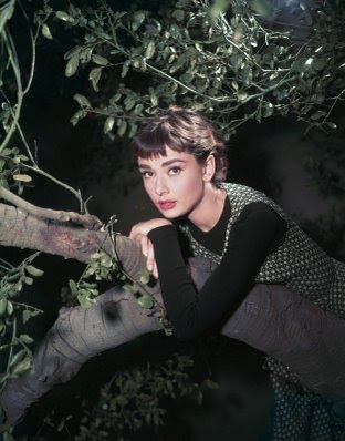 Audrey Hepburn in Sabrina on Lolita's Classics