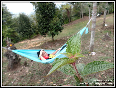 Hammock Malaysia