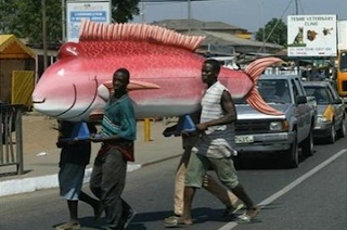 Peti Mati Lucu berbentuk ikan