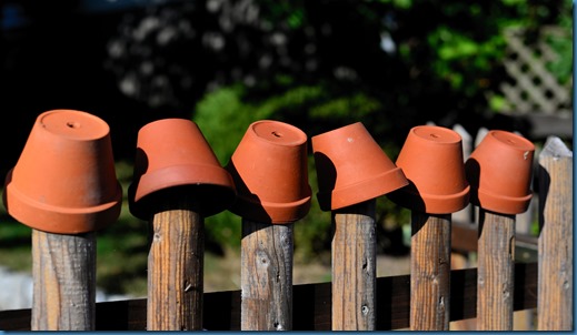 garden-fence-3630253_1920