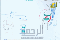 شرح الجهاز الهيكلي والحركي احياء ثانوية عامة 2017 د ايهاب داود - الحلقة الثالثة قناة الرحمة 