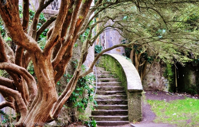 Escaleras del castillo que dan al jardín