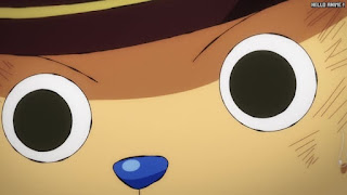 ワンピース アニメ 1077話 チョッパー Tony Tony Chopper ONE PIECE Episode 1077