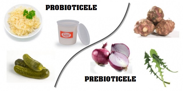 probiotice prebiotice