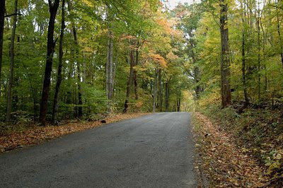 this is a lovely country road we traveled in Parke County, Indiana, last year