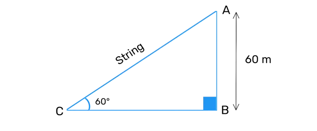 Ex 9.1 Q5 - A kite is flying at a height of 60 m above the ground. The string attached to the kite is temporarily tied to a point on the ground. The inclination of the string with the ground is 60°. Find the length of the string, assuming that there is no slack in the string.