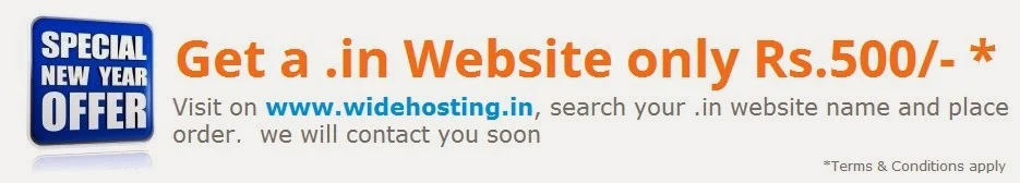 Best of Best New Year 2014 Offer for your Small Business