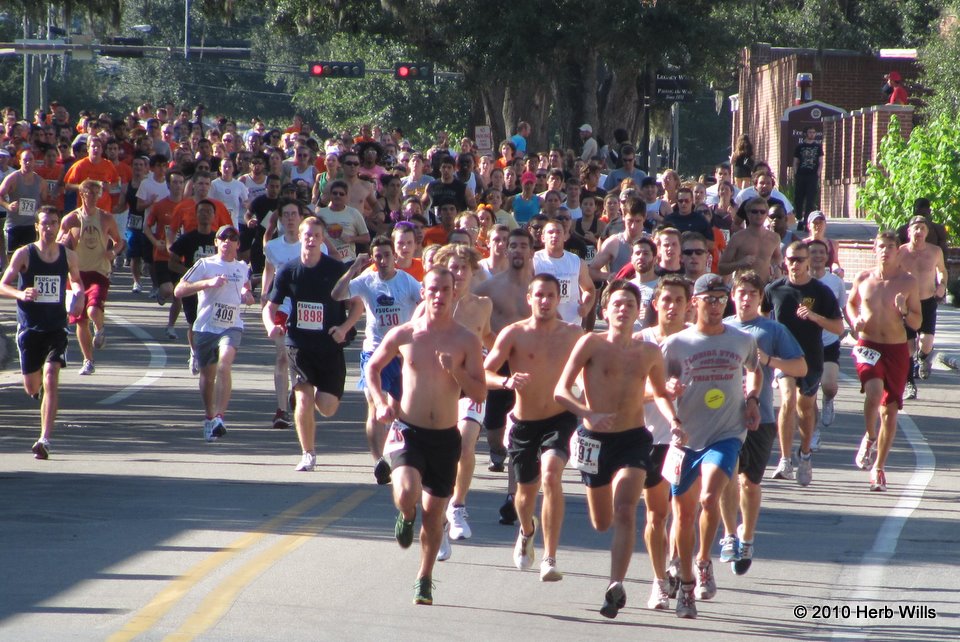 florida state university campus. For whatever reason, the FSU