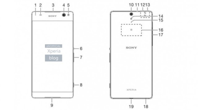 Sony Xperia C5 Ultra manual affirms without bezel show 