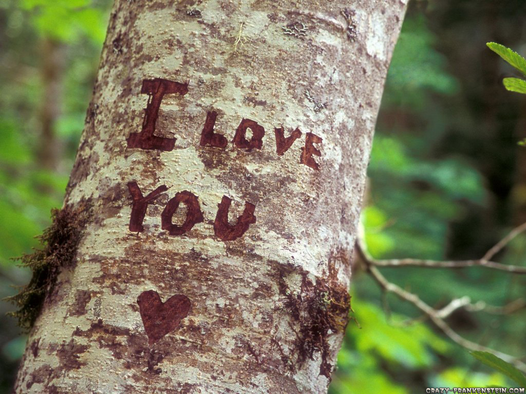 love ♥ you heart HD wallpapers - I ♥ You images | I Love You ...