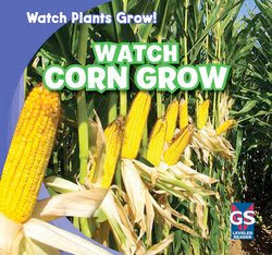 bookcover of WATCH CORN GROW  (Watch Plants Grow!)  by Kristen Rajczak