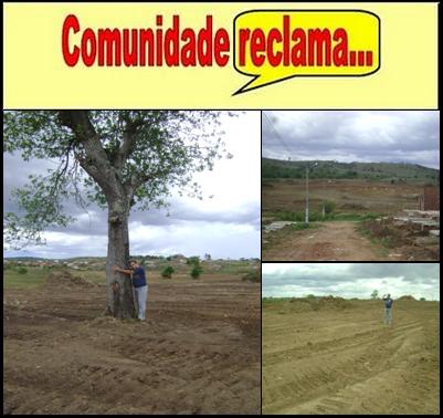 Falta arborização na cidade