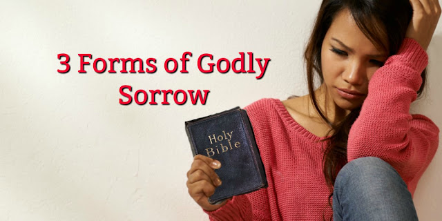 Let's take a look at the second beatitude: what godly sorrow looks like. #BibleLoveNotes #Bible #Devotions