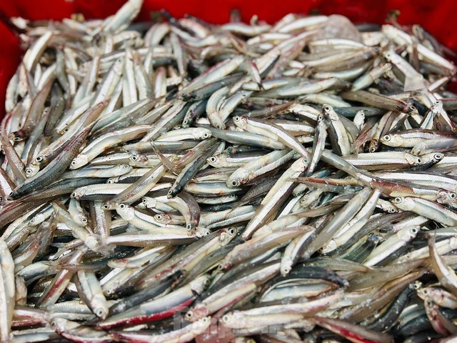 Một đêm ra khơi ngư dân <a href=