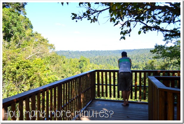 Waterfalls in the Atherton Tablelands | How Many More Minutes?