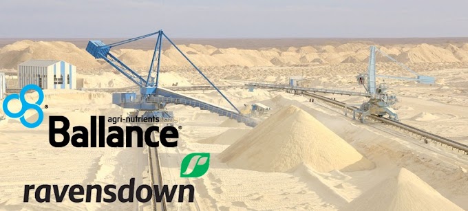 Denuncian a las empresas neozelandesas Ravensdown y Ballance Agri Nutrients por el saqueo ilegal del fosfato saharaui junto a Marruecos.