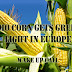 Despite Majority Opposition, GMO Corn Gets Green Light in Europe