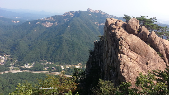 MOUNT SORAK, GUNUNG TERCANTIK DI KOREA, POKOK MAPEL, GUNUNG TERTINGGI, MT SORAK, KERETA KABEL, CABLE CAR DI MOUNT SORAK,  POKOK PAIN, Gwongeumseong Fortress, Seorak Sogongwon Cable Car, Seoraksan National Park (Oeseorak; Outer Seorak), Hotel Hanwha Resort, Seorak, MUSIM LURUH DI KOREA, PERCUTIAN MUSIM LURUH, MAKANAN KOREA,