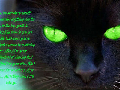 Photo de chat noir aux yeux vert 258292-Photo de chat noir aux  yeux vert